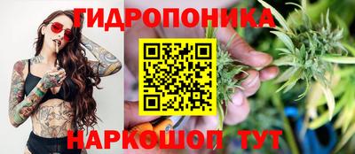 МДПВ Обь