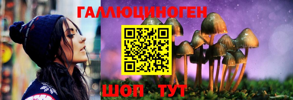 Сафоново  Галлюциногенные грибы GOLDEN TEACHER  Вход с VPN 